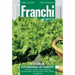 Mercato Franchi Sementi Chicory Zuccherina Di Trieste Seeds Garden