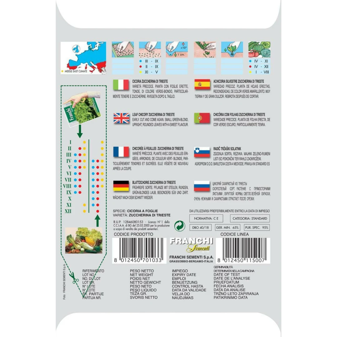 Mercato Franchi Sementi Chicory Zuccherina Di Trieste Seeds Garden 4 Mercato Franchi Sementi Chicory Zuccherina Di Trieste Seeds Garden