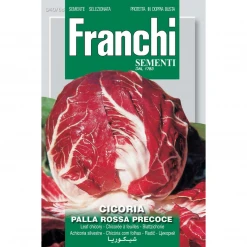 Garden Franchi Sementi Cicoria Palla Rossa Seeds
