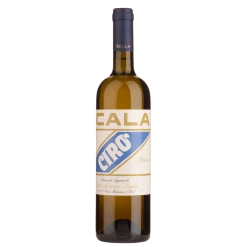2019 Scala Ciro Bianco DOC Vino